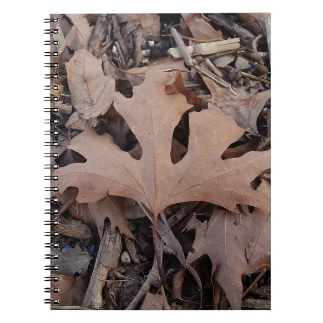 Autumn Journal (Front)