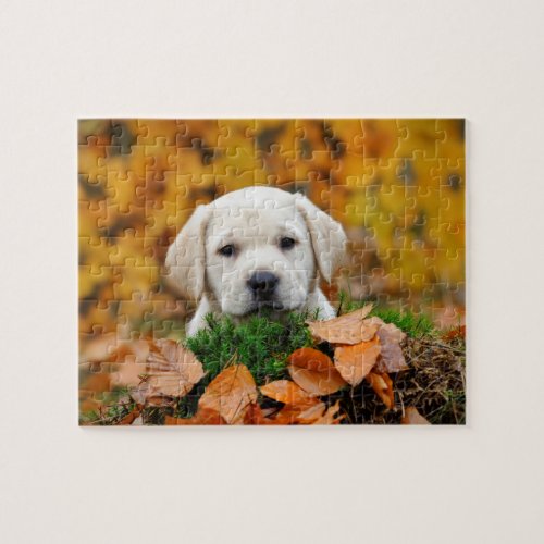 Autumn Labrador Jigsaw Puzzle