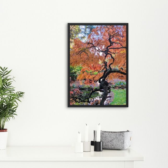 Autumn Laceleaf Japanese Maple Tree Botanical Poster (In Situ)