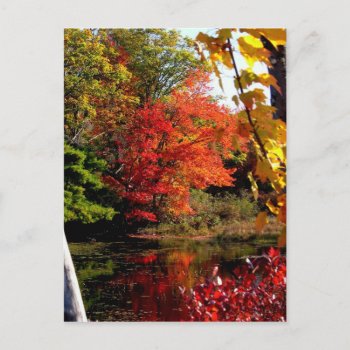Autumn Lake 4 Postcard by pamdicar at Zazzle
