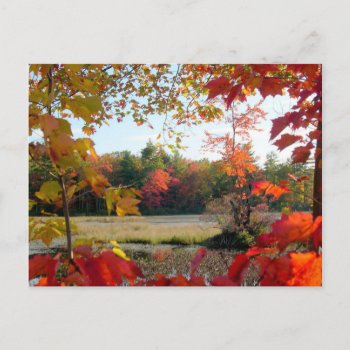 Autumn Lake Framed Postcard by pamdicar at Zazzle