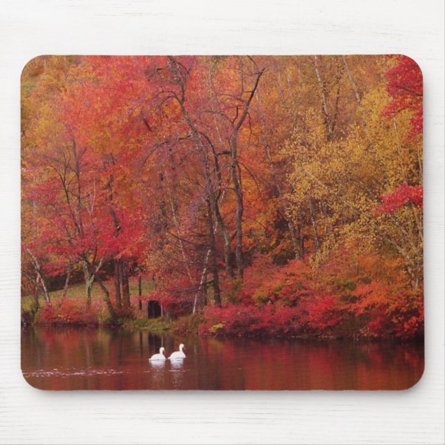 Autumn Lake Mouse Pad (Front)