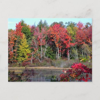 Autumn Lakeside 2 Postcard by pamdicar at Zazzle