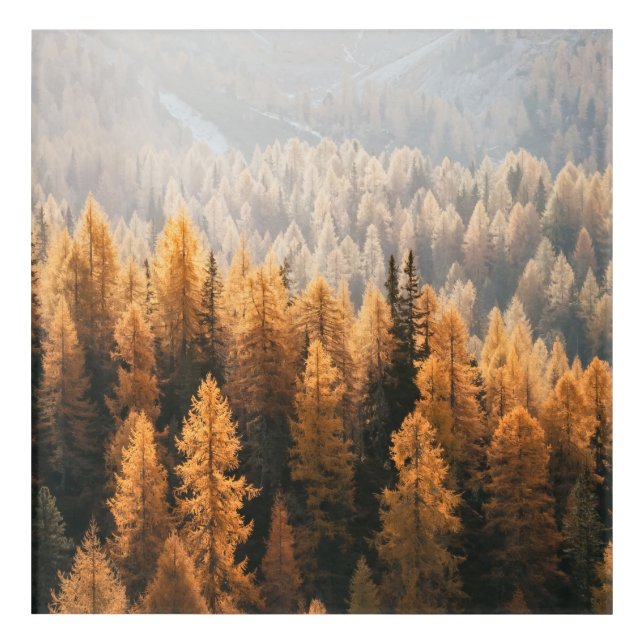 Autumn Landscape  Acrylic Print (Front)