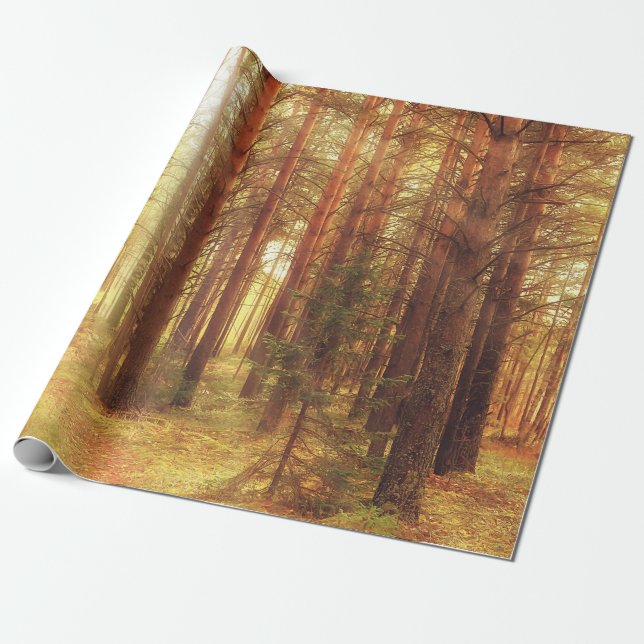 autumn landscape background, sun rays in the fores wrapping paper (Unrolled)