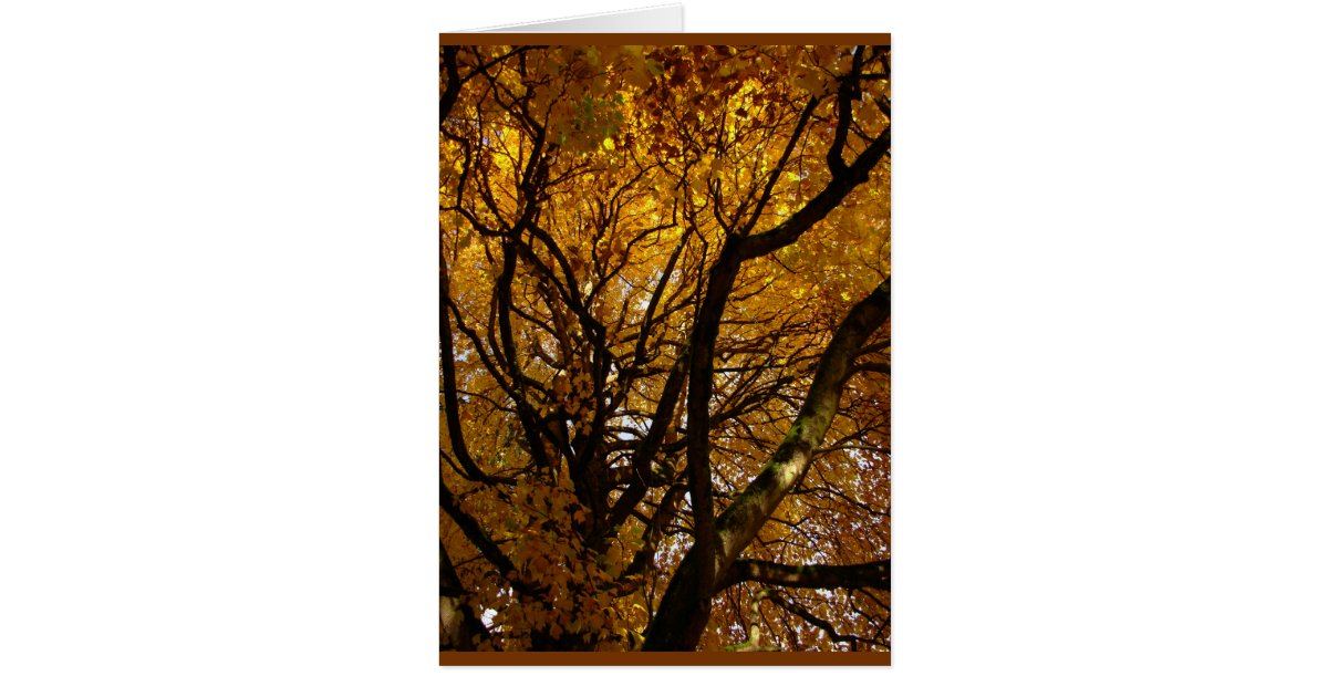 Autumn Landscape Blank Card Beautiful Print Cards | Zazzle