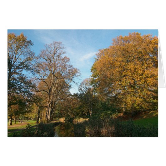 Autumn Landscape, Bute Park, Cardiff (Front Horizontal)