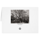 Autumn Landscape, Bute Park, Cardiff (Back Horizontal)