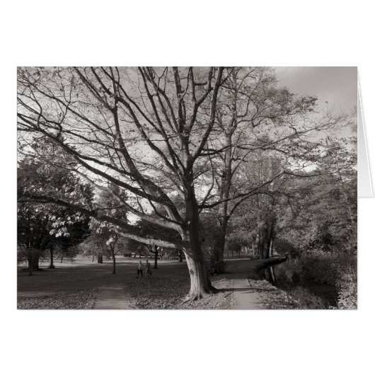Autumn Landscape, Bute Park, Cardiff (Front Horizontal)