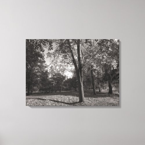 Autumn Landscape Bute Park Cardiff Canvas Print