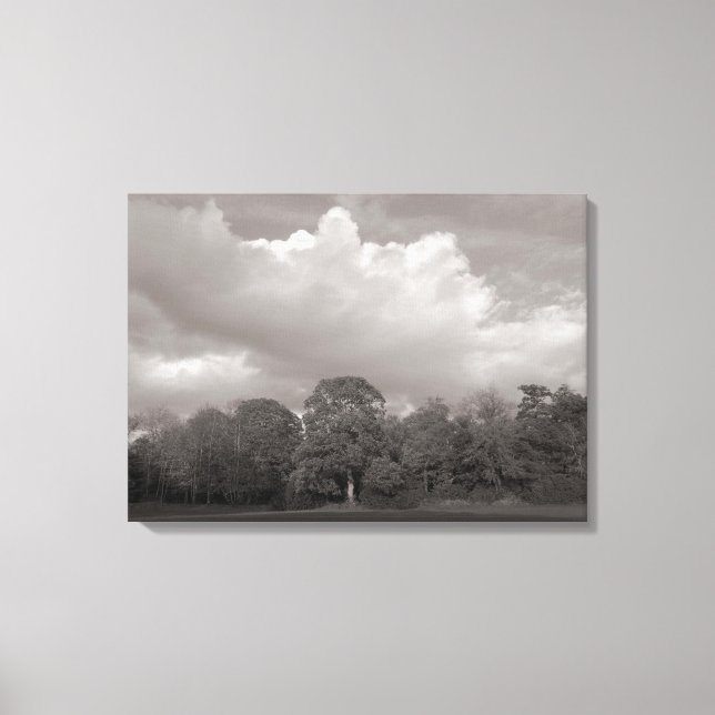 Autumn Landscape Bute Park Cardiff Canvas Print (Front)