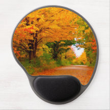 Autumn landscape of trees in rural areas