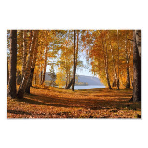Autumn Landscape Photo Print