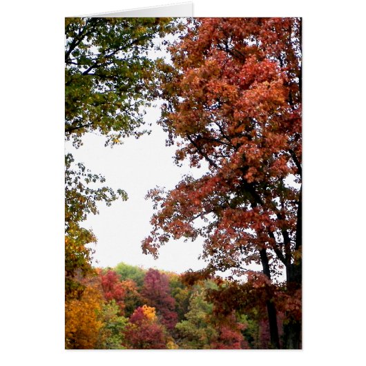 Autumn Landscape Photograph Cards (Front)