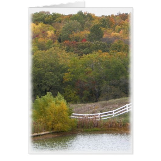 Autumn Landscape Photograph Cards (Front)