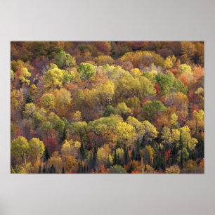 Autumn landscape, Vermont, USA 2 Poster