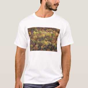 Autumn landscape, Vermont, USA 2 T-Shirt