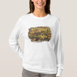 Autumn landscape, Vermont, USA 2 T-Shirt