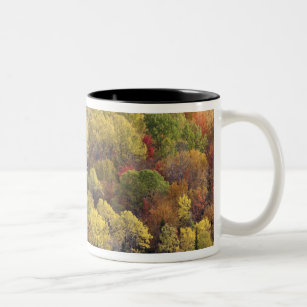 Autumn landscape, Vermont, USA 2 Two-Tone Coffee Mug