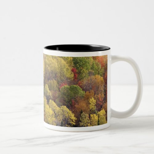 Autumn landscape Vermont USA 2 Two_Tone Coffee Mug