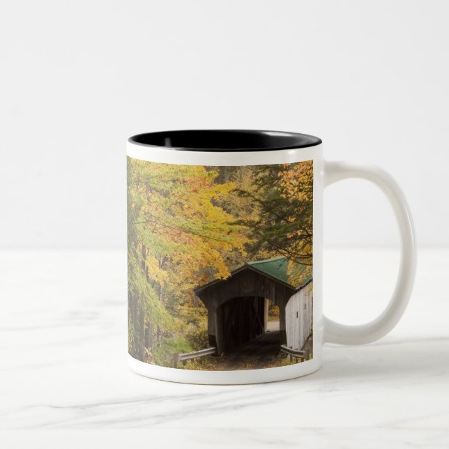 Autumn landscape, Vermont, USA 4 Two-Tone Coffee Mug (Right)