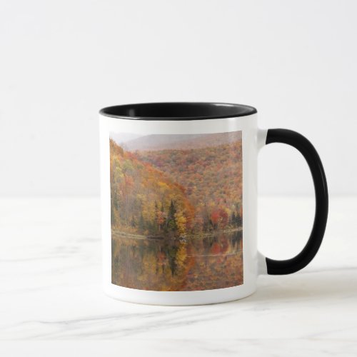 Autumn landscape with lake Vermont USA 2 Mug