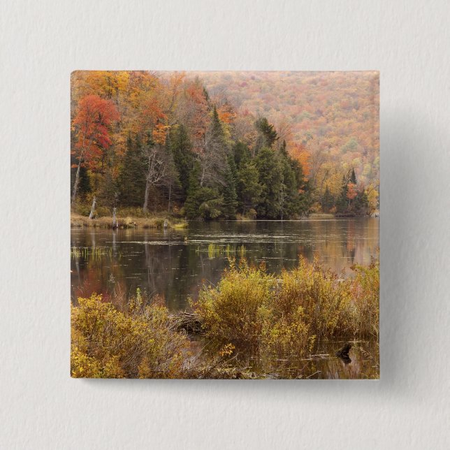 Autumn landscape with lake, Vermont, USA 3 Pinback Button (Front)