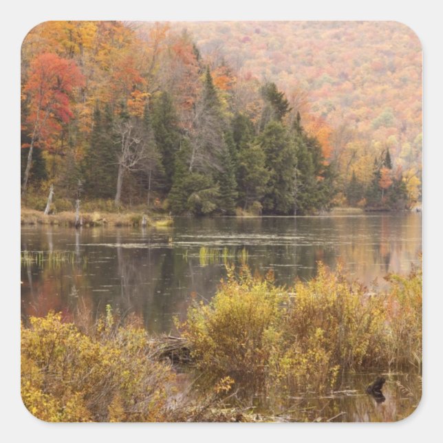 Autumn landscape with lake, Vermont, USA 3 Square Sticker (Front)