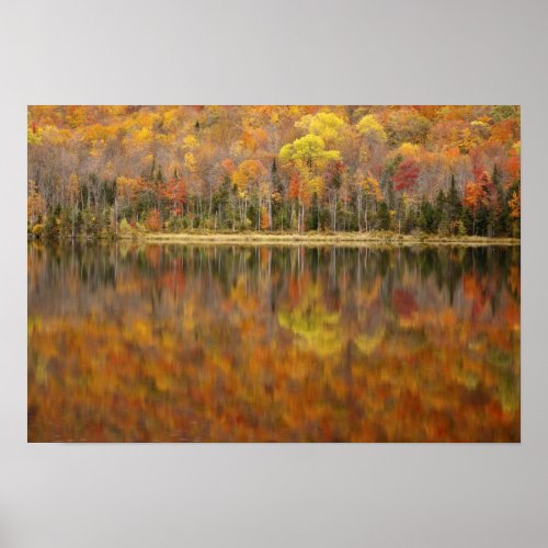 Autumn landscape with lake Vermont USA Poster