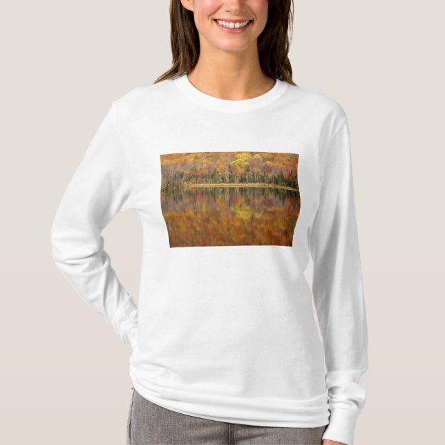 Autumn landscape with lake, Vermont, USA T-Shirt (Front)