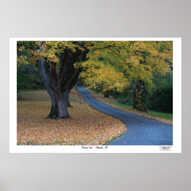 Autumn Lane Poster (Front)