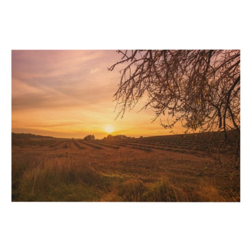 Autumn lavender field on sunset wood wall art