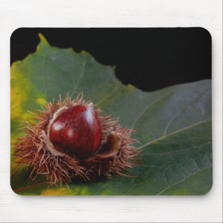Autumn Leaf and Nut Mouse Pad