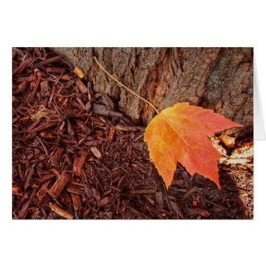 Autumn Leaf Blank Card (Front Horizontal)