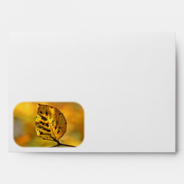 Autumn Leaf Bursting with Color Envelope (Front)
