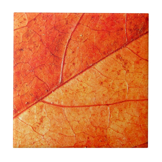 Autumn Leaf Ceramic Tile (Front)