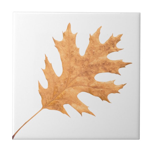 Autumn leaf ceramic tile (Front)