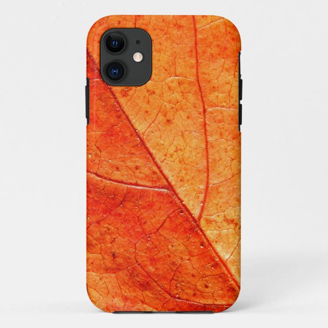 Autumn Leaf Close-up iPhone SE+5/5S Case (Back)