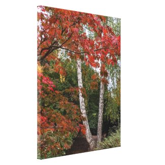 Autumn Leaf Color Photo Canvas Print