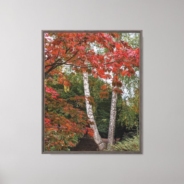 Autumn Leaf Color Photo Canvas Print (Front)