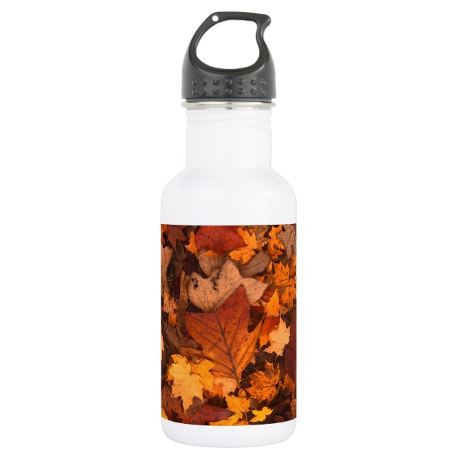 Autumn Leaf Fall Foliage Stainless Steel Water Bottle (Front)