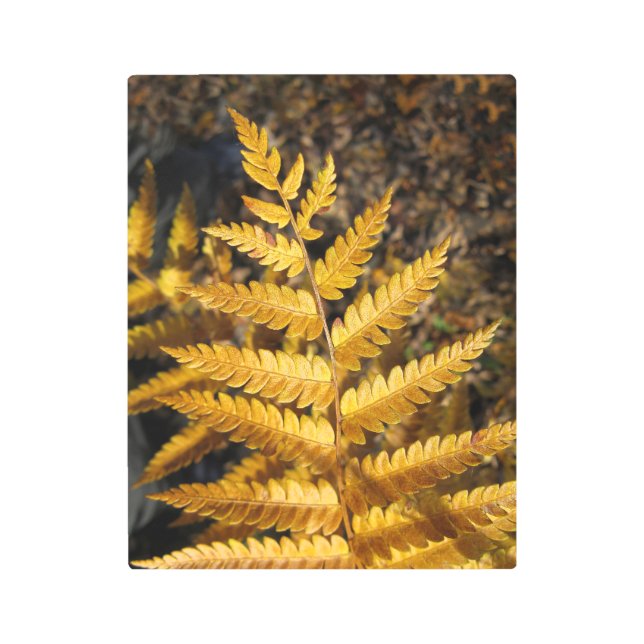 Autumn Leaf Golden Yellow Fern Metal Print (Front)