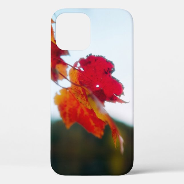 Autumn Leaf iPhone Case (Back)