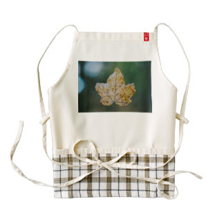 Autumn leaf macro zazzle HEART apron