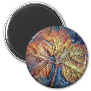 Autumn Leaf Magnet by ForEverProud at Zazzle