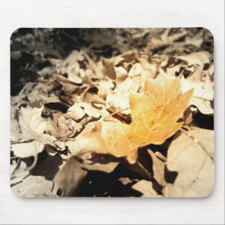 Autumn leaf mouse pad