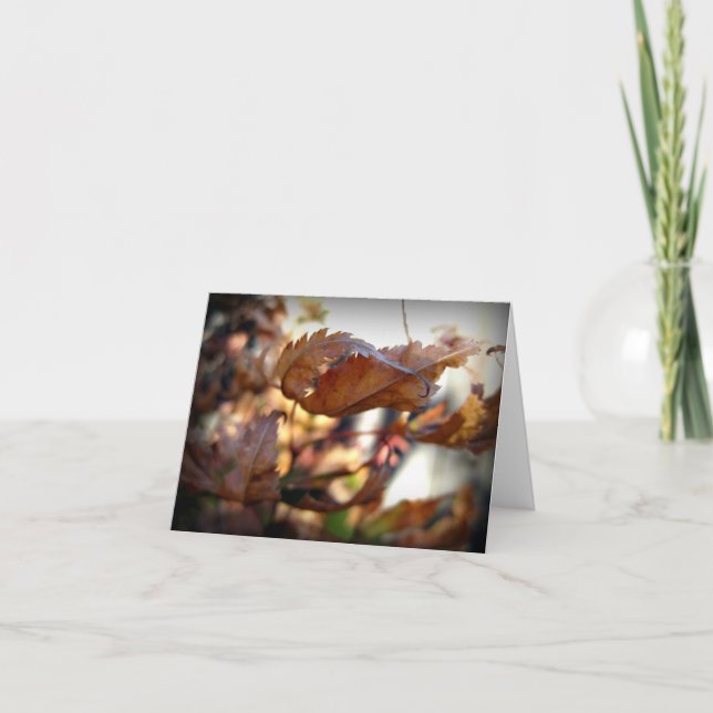 Autumn Leaf Note Card (Photography) (Front)