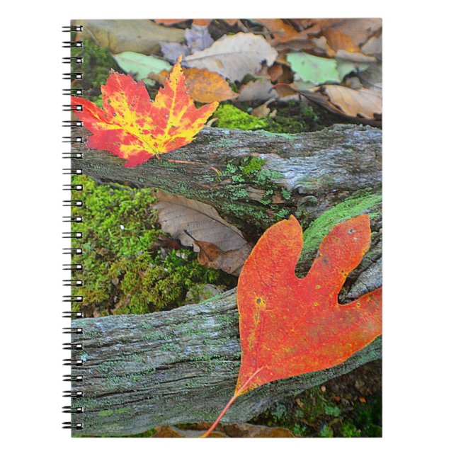 Autumn Leaf Notebook (Front)