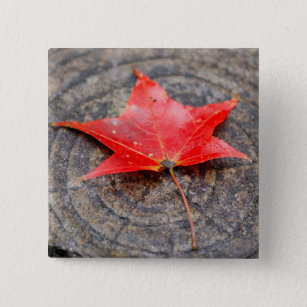 Autumn Leaf on Log Square Button