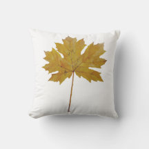 Autumn leaf orange brown Watercolor.